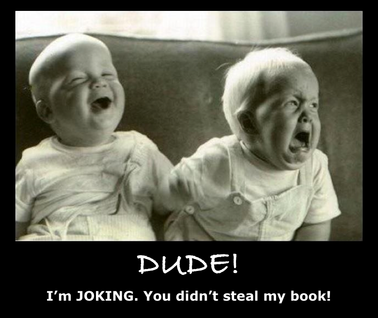 Dude. You didn't steal my book