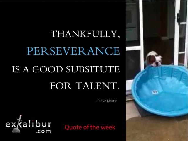 mon quote perseverance for blog