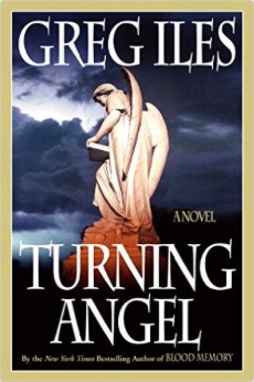 nessletter_Turning_Angel_book_cover