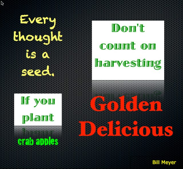 Are You Planting the Right Seeds?
