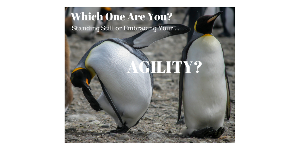 Which One Are You? Standing Still or Embracing Your Agility?