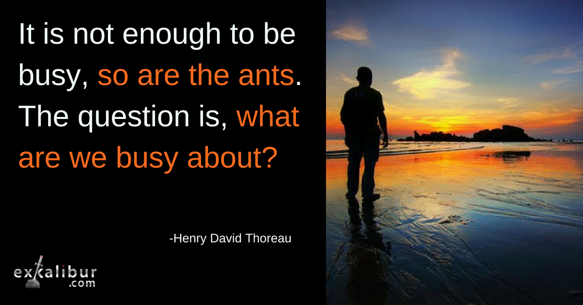 It is not enough to be busy, so are the ants. The question is, what are we busy about?
