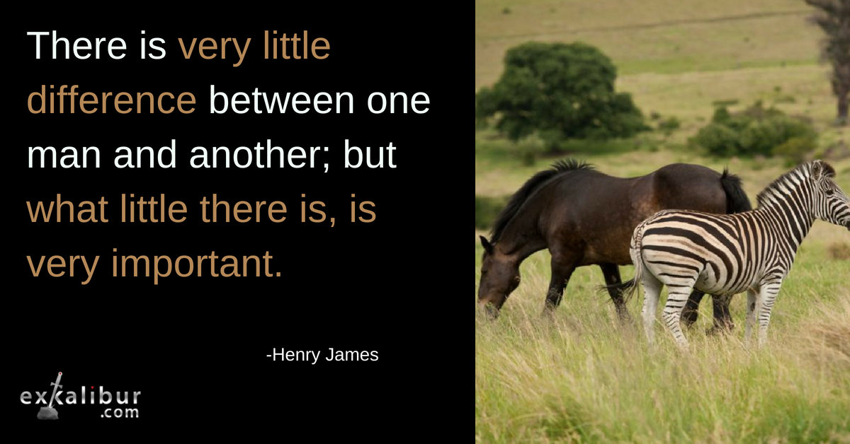 There is very little difference between one man and another, but what little there is is very important